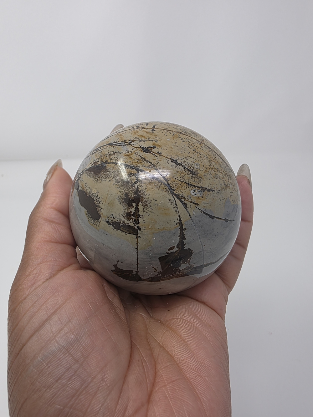 Polished Picture Jasper Sphere in Gray and Tan